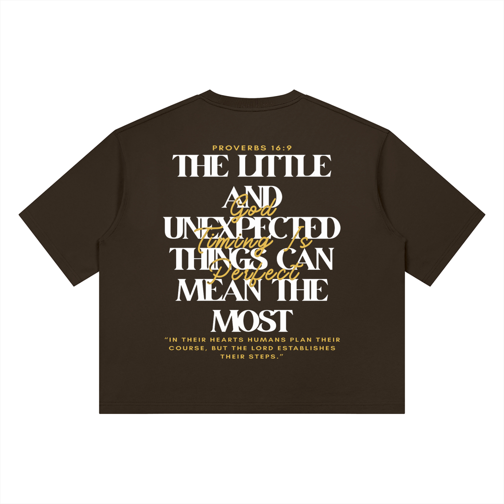Christ Disciple Divine Appointment Heavyweight Boxy T-Shirt
