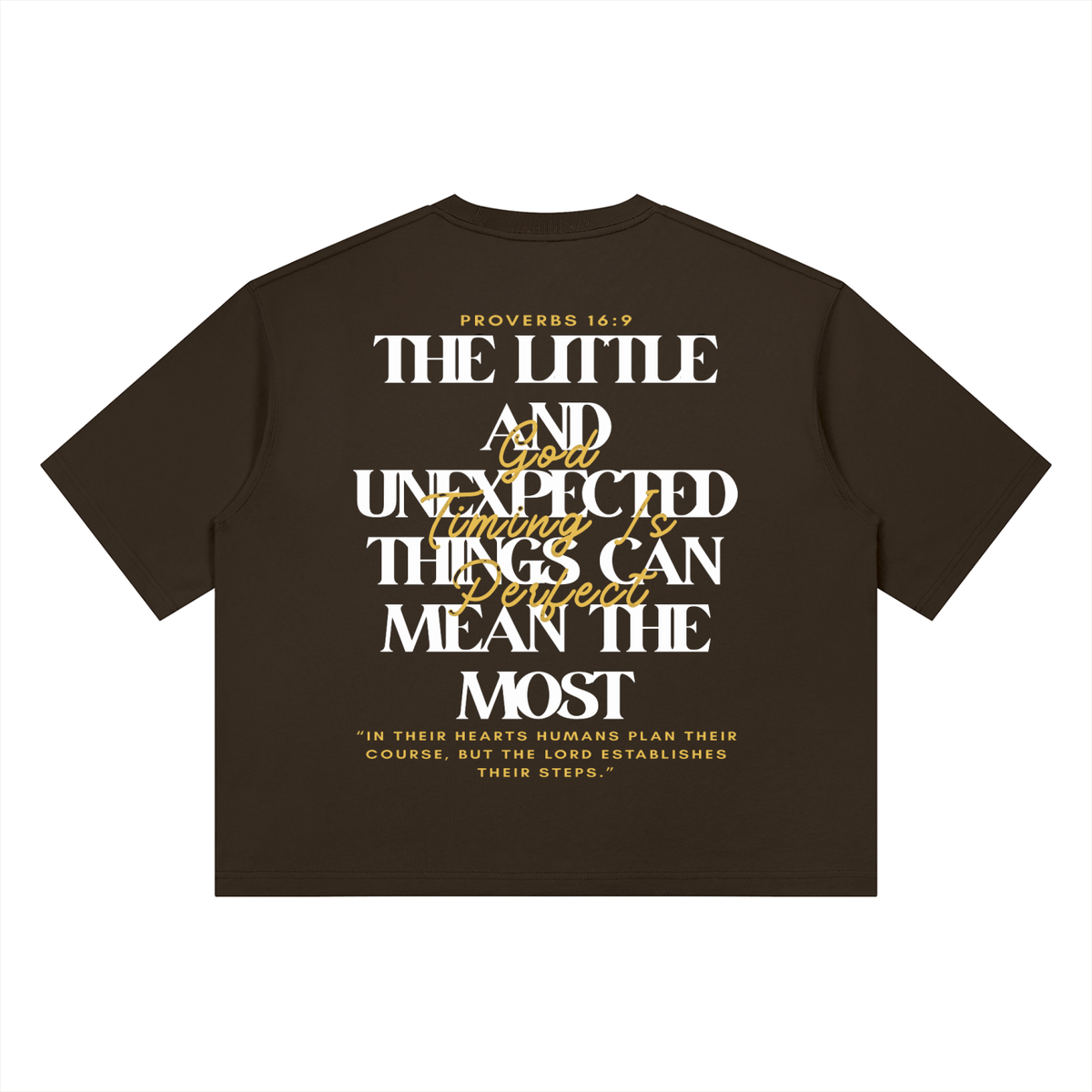 Christ Disciple Divine Appointment Heavyweight Boxy T-Shirt