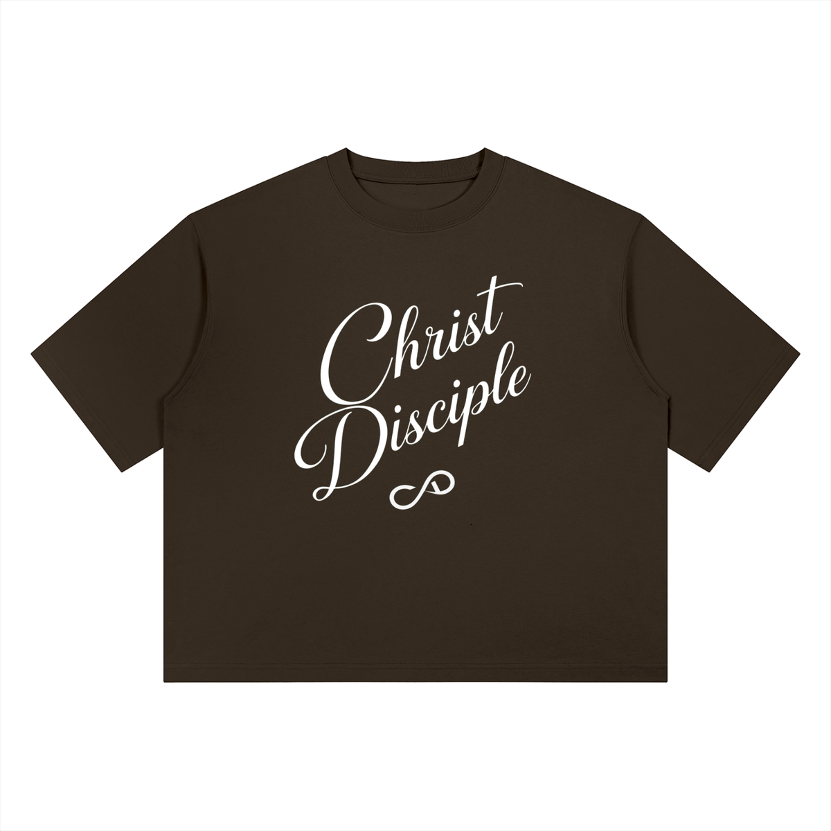 Christ Disciple Divine Appointment Heavyweight Boxy T-Shirt