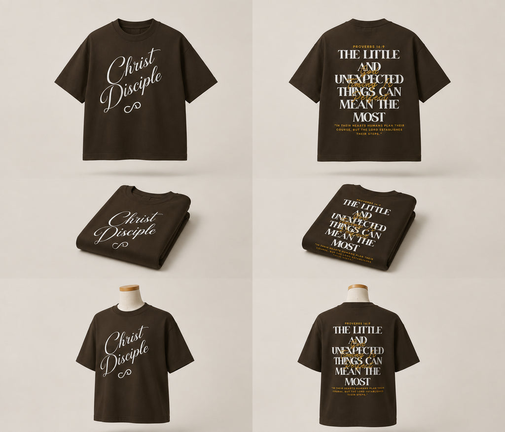 Christ Disciple Divine Appointment Heavyweight Boxy T-Shirt